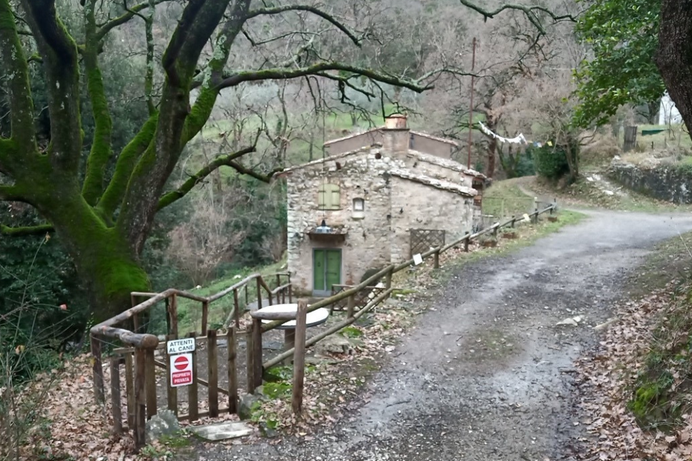 Taglio boschivo irregolare sul Monte Morello. Un denunciato